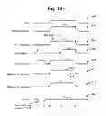 Fig. 19 - Providing reliability metrics for decoding data in non-volatile storage