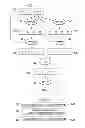 Fig. 02 - SIMD compare instruction using permute logic for distributed register files