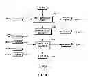 Fig. 04 - Instruction to load data up to a specified memory boundary indicated by the instruction