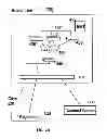 Fig. 08 - Run-time instrumentation directed sampling