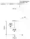 Fig. 05 - Instruction to load data up to a specified memory boundary indicated by the instruction