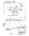 Fig. 09 - Hardware based run-time instrumentation facility for managed run-times