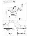 Fig. 07 - Run-time instrumentation indirect sampling by address