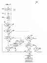 Fig. 08 - Adapter circuitry resetting scan test logic to mandatory feature set