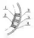Fig. 01 - Method for manufacturing plate for cement industry tube mill