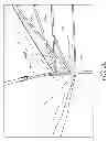 Fig. 06 - CANOPY STRUCTURE