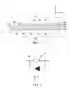 Fig. 03 - Semiconductor light emitting device and method for manufacturing the same
