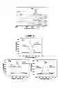 Fig. 09 - METHOD OF PREPARING TRANSPARENT CONDUCTING OXIDE FILMS
