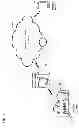 Fig. 02 - Hands-free home automation application