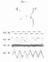 Fig. 11 - Detection device, detection method, program and display apparatus