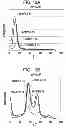 Fig. 13 - Liquid ejecting head, liquid ejecting apparatus and piezoelectric element