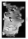 Fig. 06 - LOW COST SATELLITE IMAGING METHOD CALIBRATED BY CORRELATION TO LANDSAT DATA