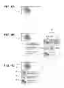 Fig. 05 - Image processing device that displays retrieved image similar to target image