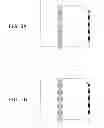 Fig. 04 - Waveguide and integrated circuit