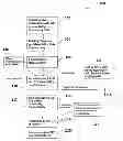 Fig. 01 - MODIFIED AGAVE FOOD AND METHOD OF MAKING SAME