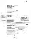 Fig. 02 - MODIFIED AGAVE FOOD AND METHOD OF MAKING SAME