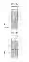 Fig. 10 - Secondary battery