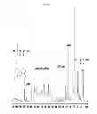 Fig. 09 - BIOMASS EXTRACTION PROCESS