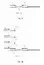 Fig. 02 - Parallel Methods For Insertional Mutagenesis
