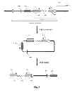 Fig. 03 - Parallel Methods For Insertional Mutagenesis