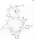 Fig. 167 - Macrocycles and their uses