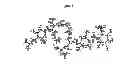 Fig. 02 - 18-Membered Macrocycles and Analogs Thereof