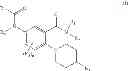 Fig. 06 - Method of treating skin with microRNA modulators