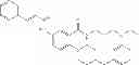 Fig. 07 - Method of treating skin with microRNA modulators