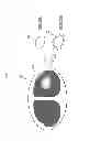 Fig. 03 - Case search device and method
