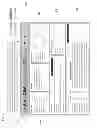 Fig. 02 - STORY CONTENT GENERATION METHOD AND SYSTEM