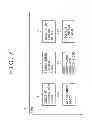 Fig. 08 - INFORMATION PROCESSING APPARATUS, INFORMATION PROCESSING METHOD, PROGRAM, AND INFORMATION PROCESSING SYSTEM