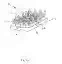 Fig. 02 - Multiple Plants Watering Device