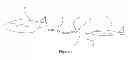 Fig. 02 - Hose for Conveying Fluid