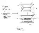 Fig. 26 - Protecting an electronic device