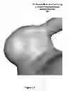 Fig. 07 - Volume-preserving smoothing brush