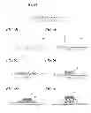 Fig. 06 - Image forming apparatus