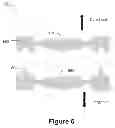 Fig. 07 - Camera Module with Processor-Based MEMS-Actuated Autofocus