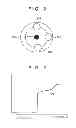 Fig. 03 - Colorimetric apparatus and colorimetric method