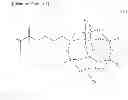 Fig. 07 - Laminate body and manufacturing method thereof