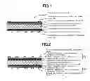 Fig. 02 - Capacitive touch sensor laminate for display panel device