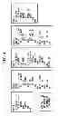 Fig. 06 - Victim port-based design for test area overhead reduction in multiport latch-based memories