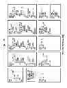 Fig. 07 - Victim port-based design for test area overhead reduction in multiport latch-based memories