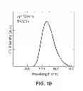 Fig. 03 - GaN-based quantum dot visible laser