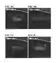 Fig. 06 - GaN-based quantum dot visible laser