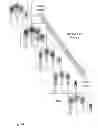Fig. 15 - Fingerprint preview quality and segmentation