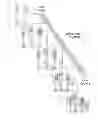 Fig. 16 - Fingerprint preview quality and segmentation
