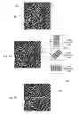 Fig. 18 - Fingerprint preview quality and segmentation