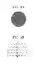Fig. 02 - Image forming apparatus
