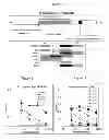 Fig. 02 - Anti-malaria compositions and methods