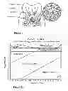 Fig. 02 - Composition